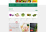 do woocommerce wordpress website customization